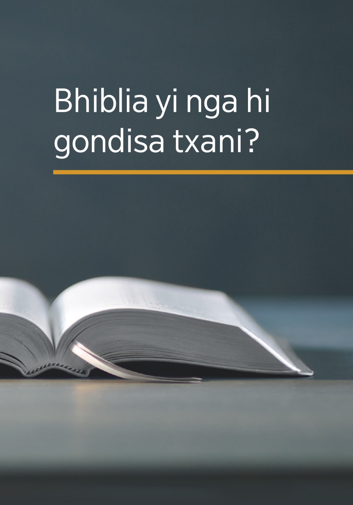 Txifenengeto txa dibhuku di di ku: ‘Bhiblia yi nga hi gondisa txani?’