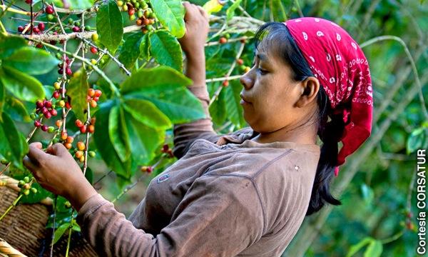 Babaye nga namupo ug kape