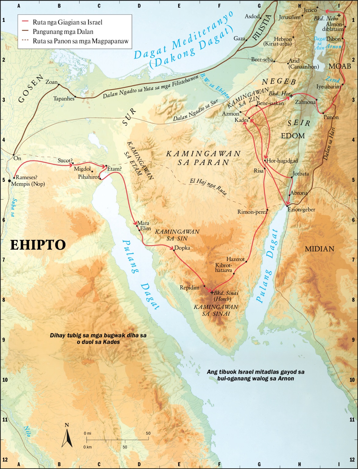 Exodus Route