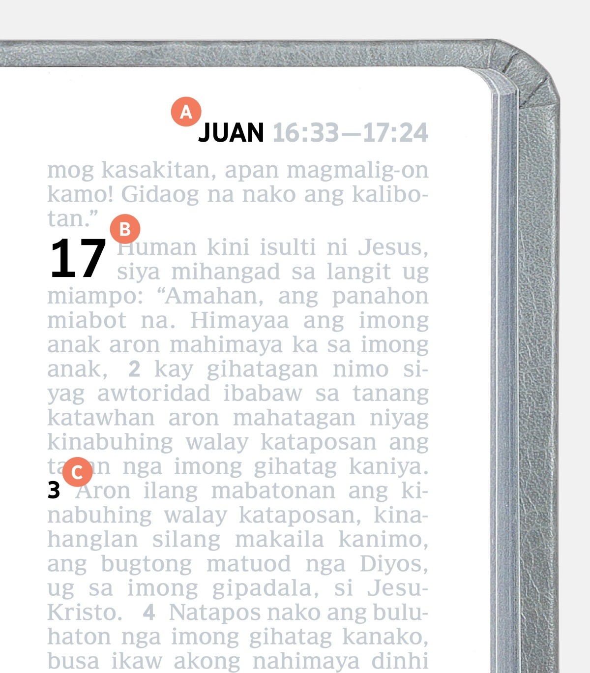 Mga label nga nagpakita sa A, B, ug C nga feature sa usa ka panid sa Bibliya.