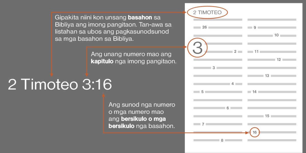 Mga basahon sa Bibliya, kapitulo, ug bersikulo