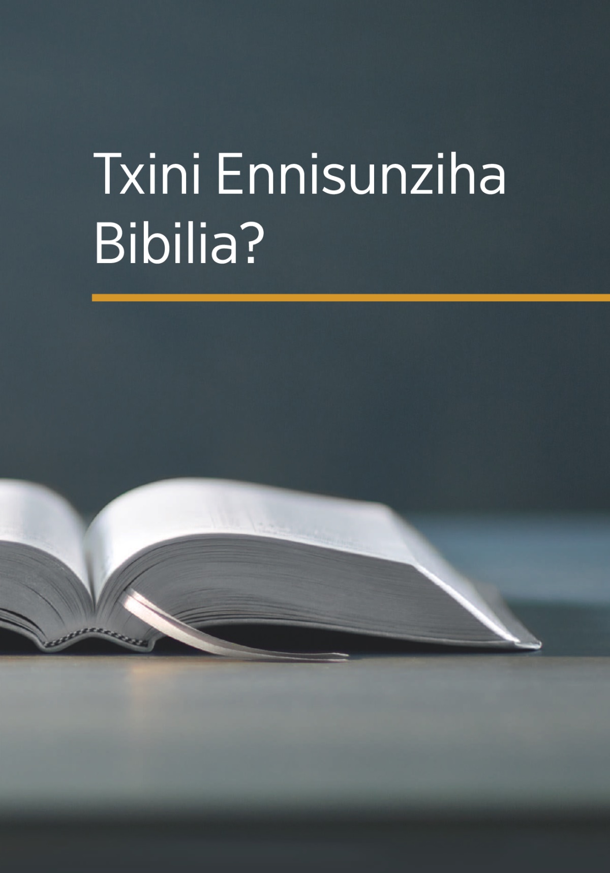 Kapa ya brochura ‘Txini Ennisunziha Bibilia?’