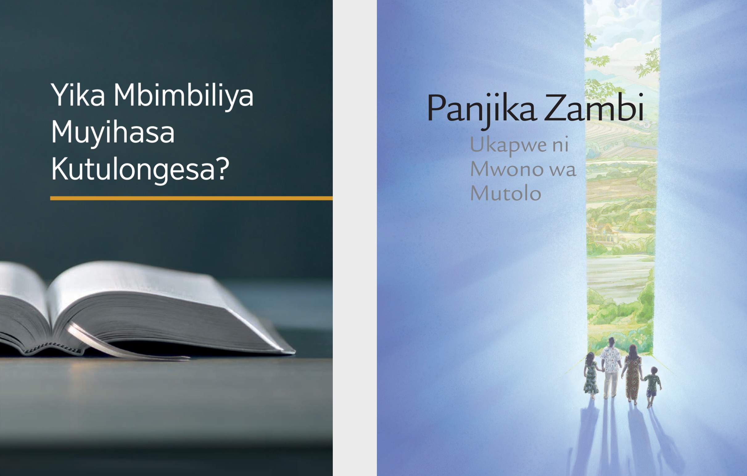 The book ‘What Can the Bible Teach Us?’ and the brochure ‘Listen to God and Live Forever.’
