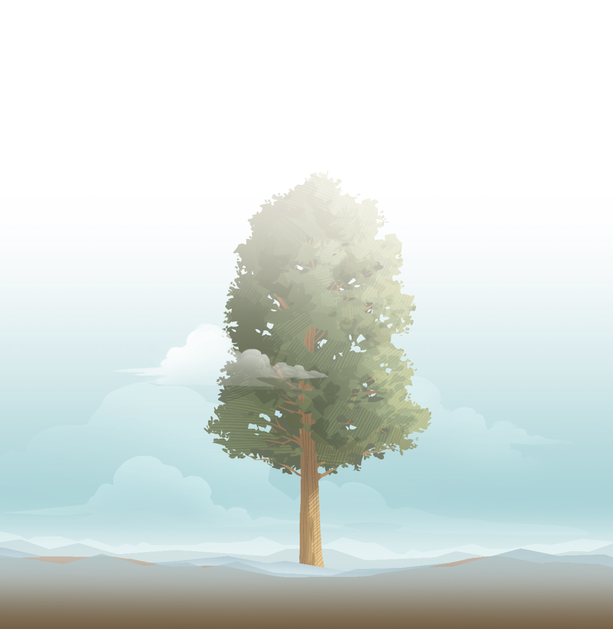 دارێکی زۆر گە‌ورە.‏