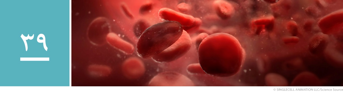 وانە‌ی ٣٩.‏ دیمە‌نێکی مایکرۆسکۆپی لە خوێن.‏