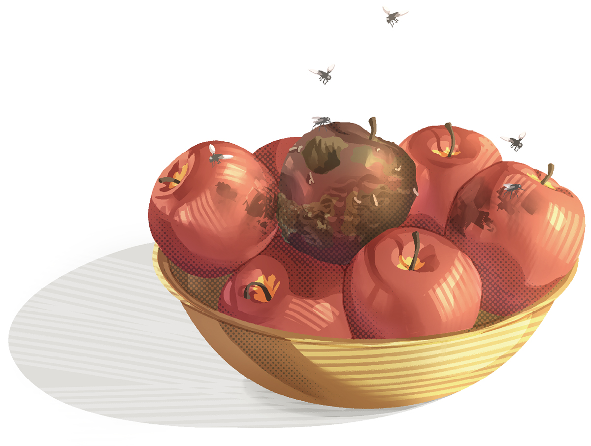 قاپێک سێوێکی ڕزیوی تێدایە و سێوە‌کانی تریش خراپ دە‌کات.‏