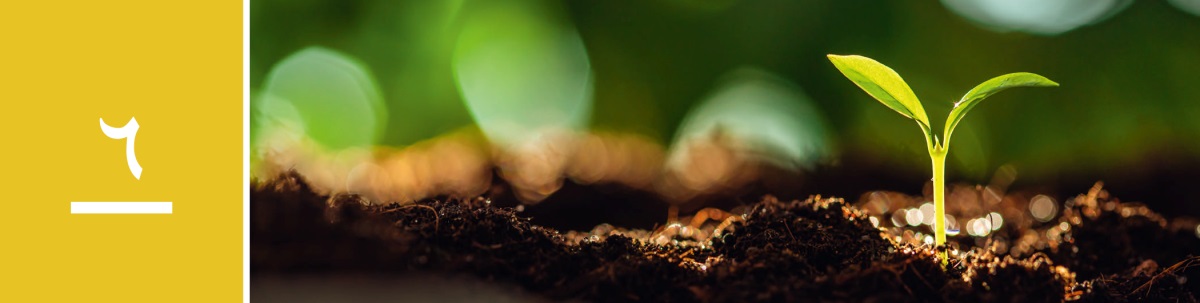 وانە‌ی ٦.‏ ڕووە‌کێک لە زە‌وییە‌وە دە‌ردە‌کە‌وێت لە ڕۆژێکی خۆردا.‏