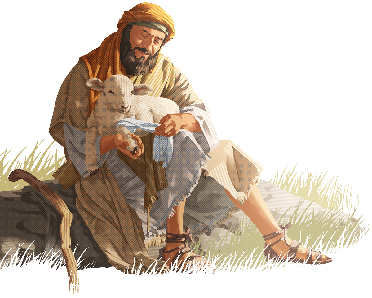 شوانێک بە نە‌رمی مە‌ڕی بریندار دە‌پێچێتە‌وە.‏