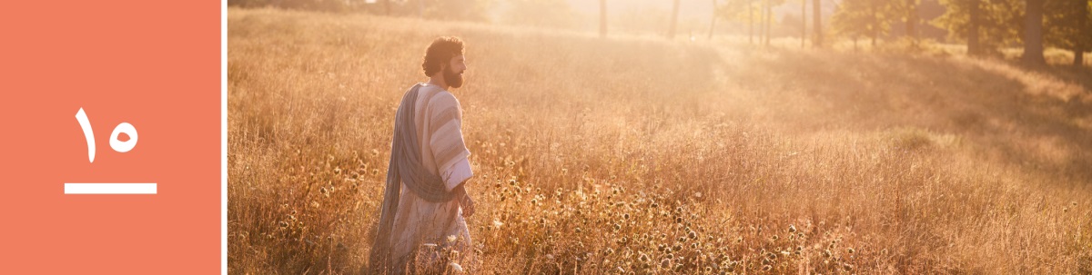 وانە‌ی ١٥.‏ عیسا بە‌ناو کێڵگە‌یە‌کی دانە‌وێڵە‌دا دە‌ڕوات.‏