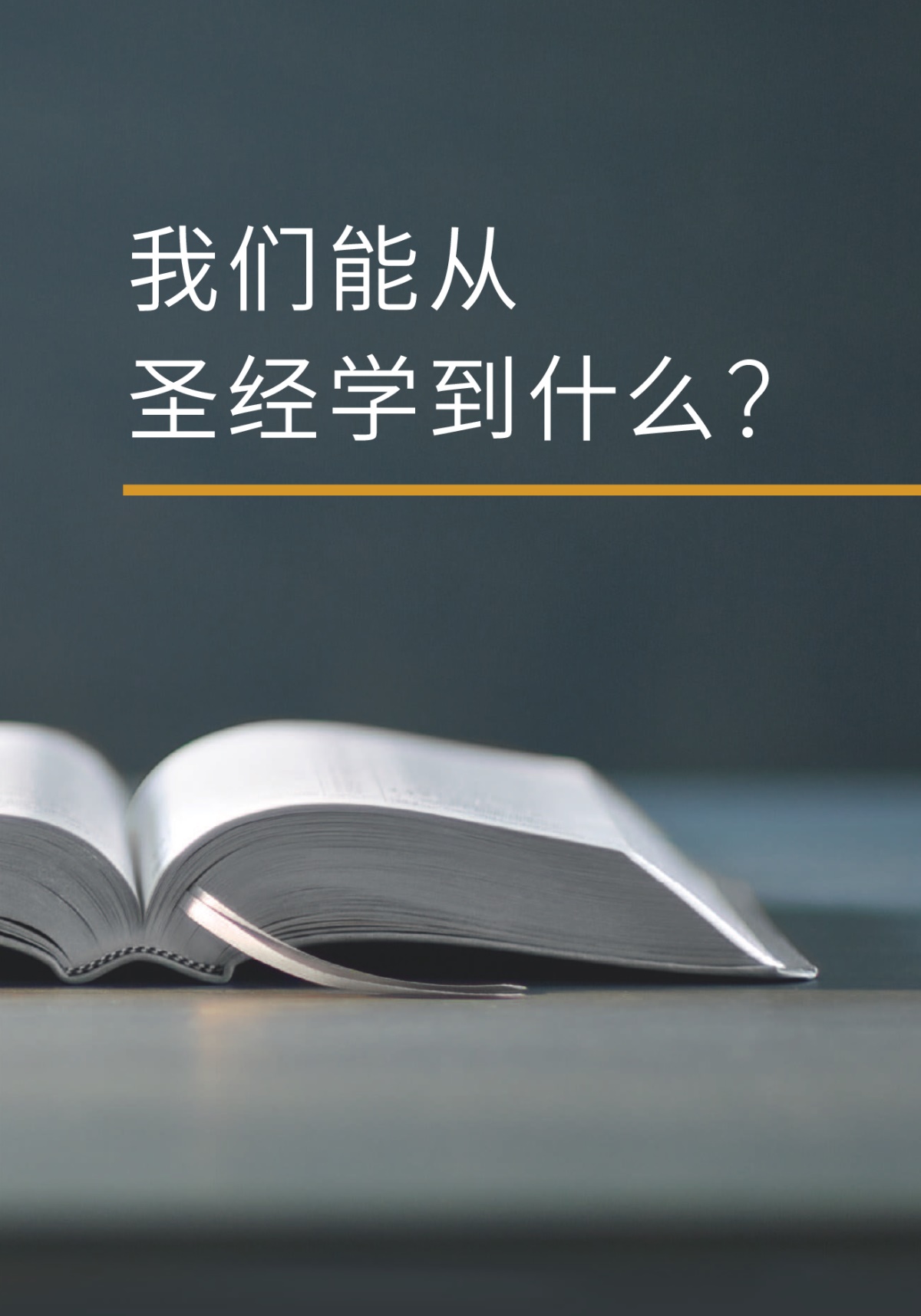 《我们能从圣经学到什么？》书的封面