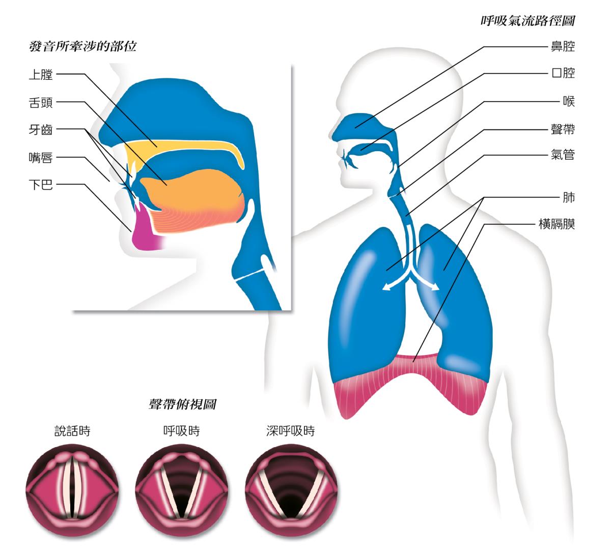 第183頁的圖解