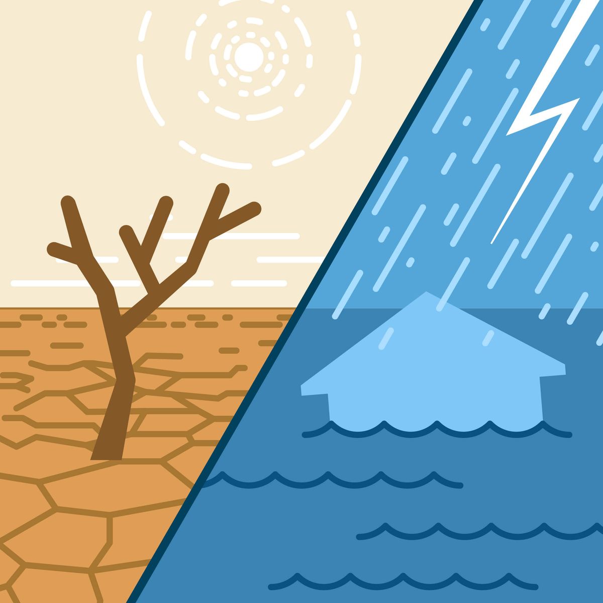 一組圖片：1．龜裂的地面上有一棵枯樹；2．在大雨中，一個房子被水淹。
