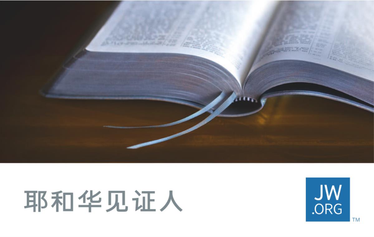 网站名片