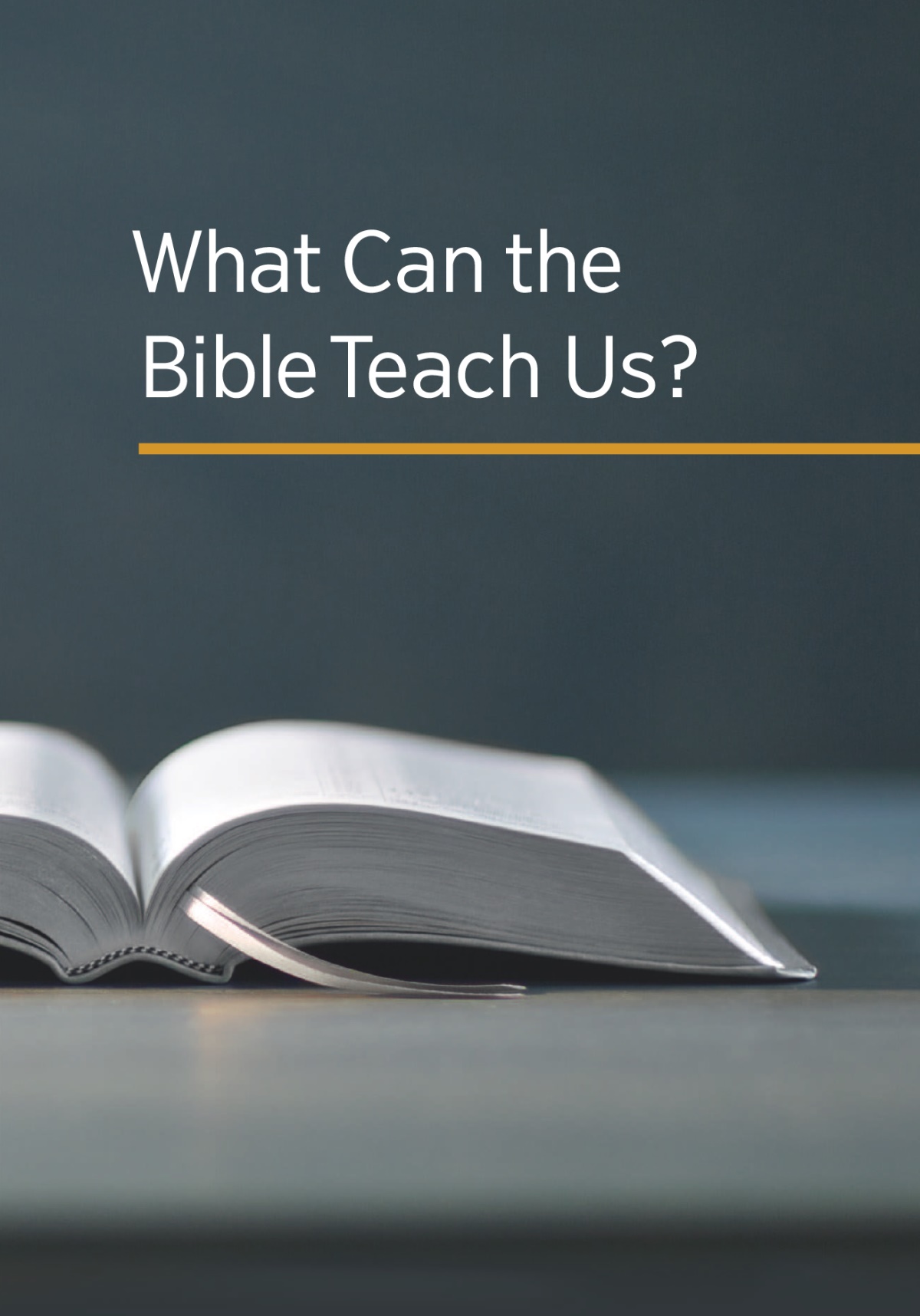 El libro ¿Qué nos enseña la Biblia?