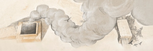 [Ilustración de las páginas 12 y 13]