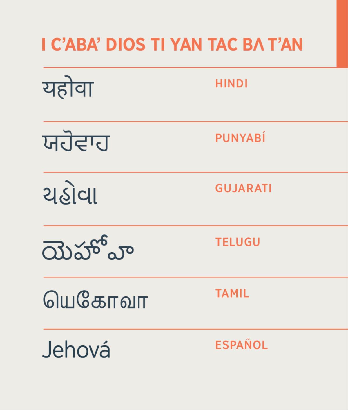 I cʼabaʼ jiñi tsaʼ bʌ i Meleyonla jiñʌch Jehová, tsʼijbubil ti jiñi tʼan hindi, punyabí, gujarati, telugu, tamil yicʼot ti español.