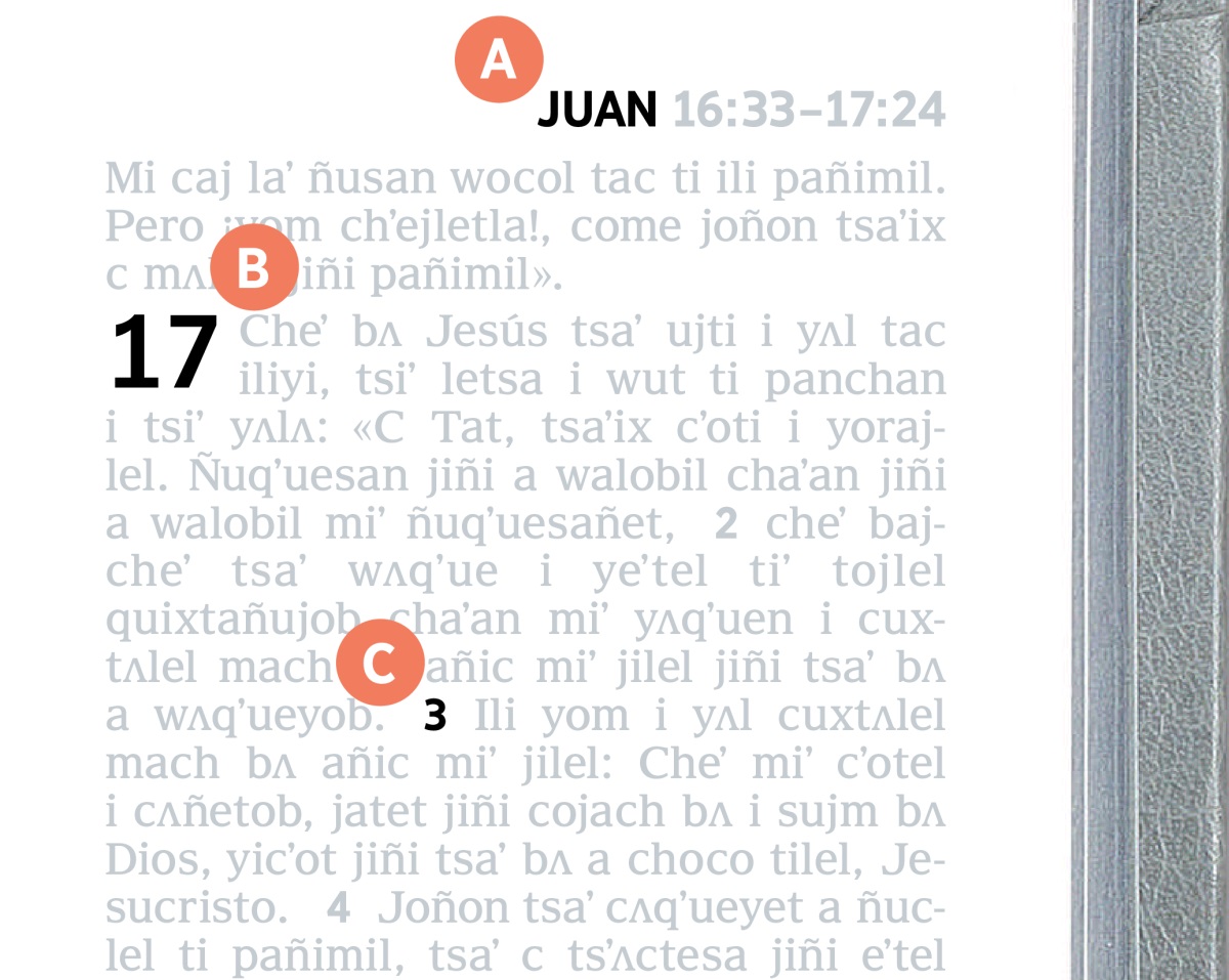 Etiqueta A, B yicʼot C ti jiñi jumpʼejl página chaʼan jiñi Biblia.