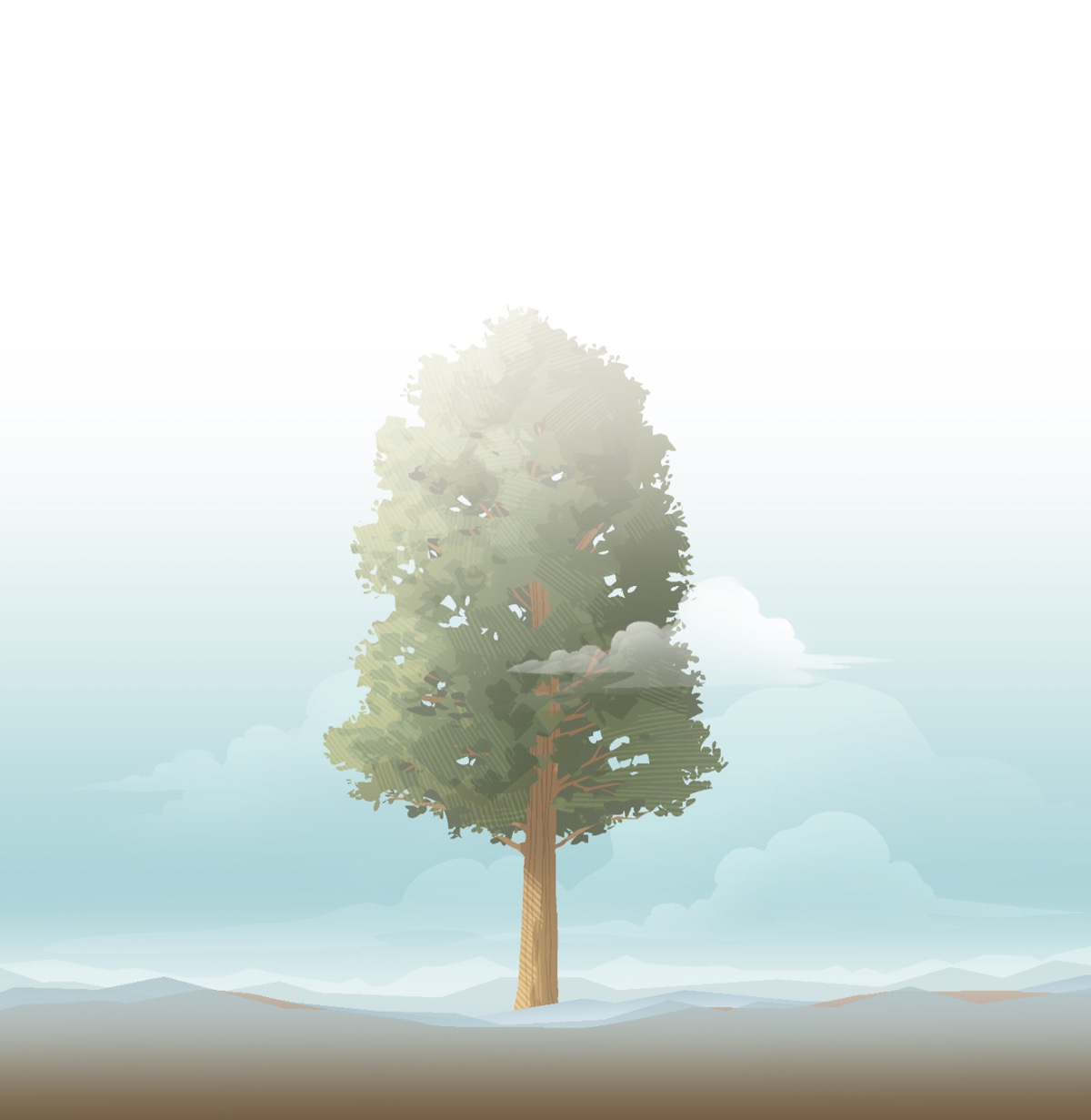 Sabbi dummad gwissid.