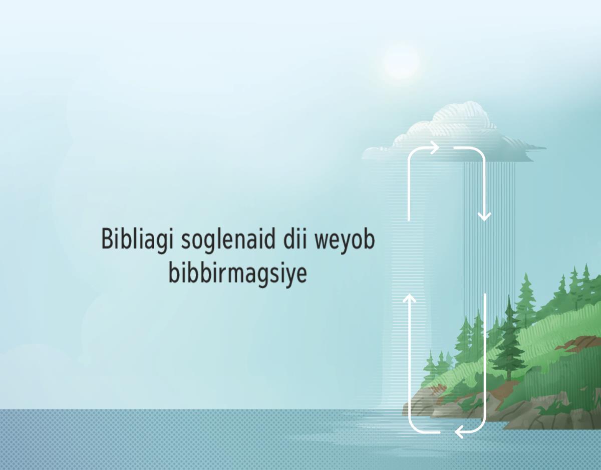 Bibliagi soglenaid dii igi bibbirmagsidae. Wegine oyolenaid dii wisale igi gannar agnaggwiddae.