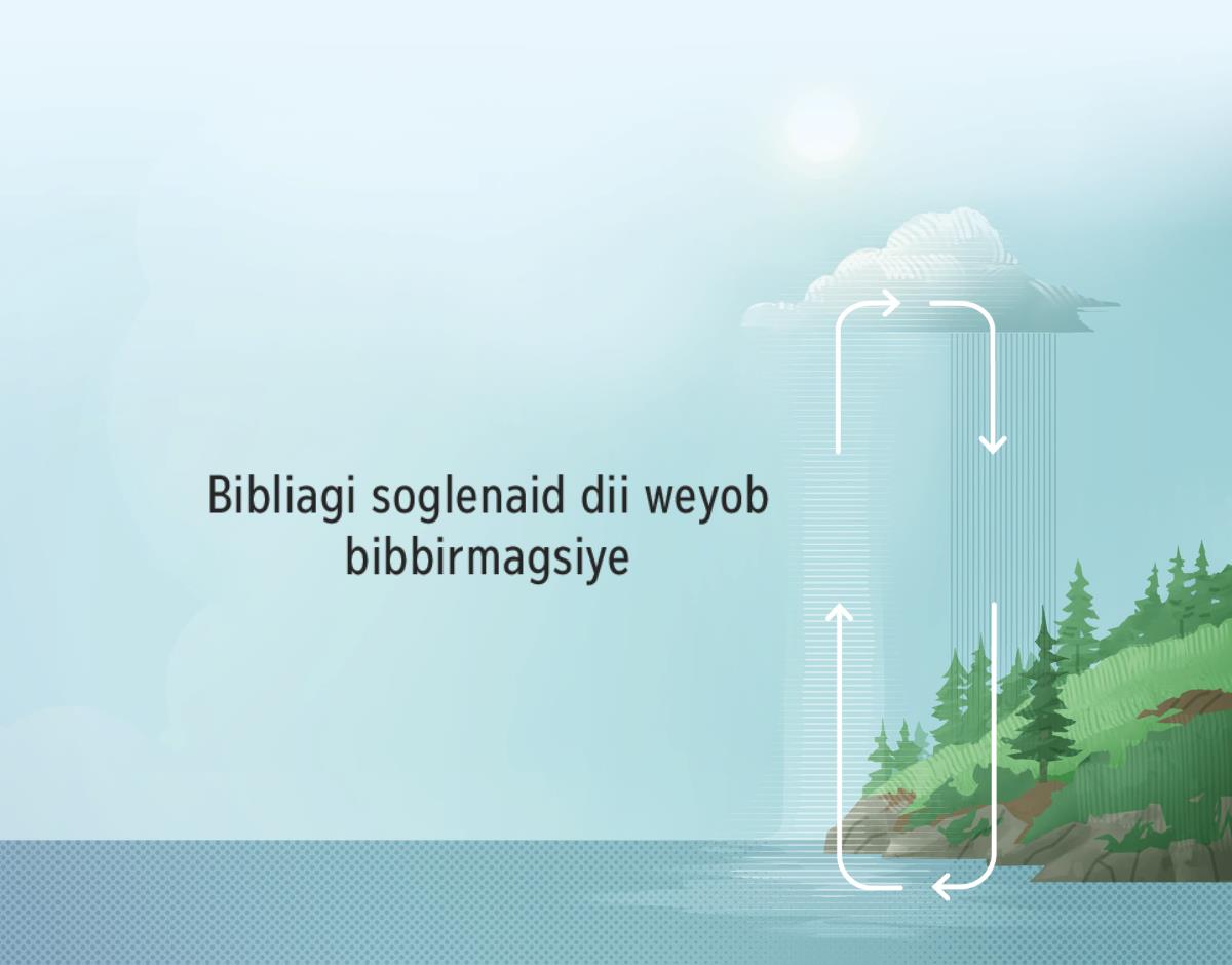 Bibliagi soglenaid dii igi bibbirmagsidae. Wegine oyolenaid dii wisale igi gannar agnaggwiddae.