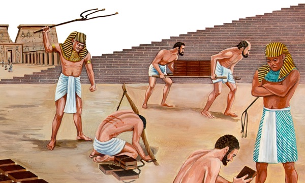 Israelitamar, Egipto dorganse sarsolenanaid