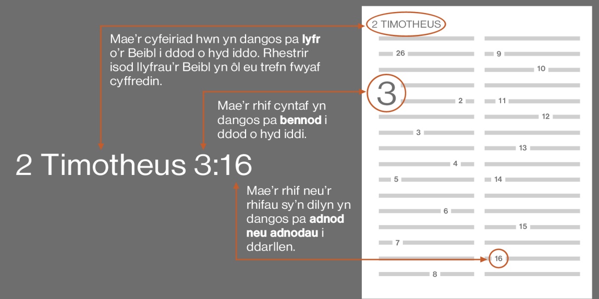 Sut i gael hyd i adnodau’r Beibl gan ddefnyddio 2 Timotheus 3:16 fel enghraifft. Mae’r cyfeiriad yn dweud wrthoch chi pa lyfr o’r Beibl i chwilio amdano, fel llyfr 2 Timotheus (gweler y rhestr isod am y drefn fwyaf cyffredin ar gyfer llyfrau’r Beibl). Mae’r rhif cyntaf yn dweud wrthoch chi pa bennod i chwilio amdani, fel pennod 3. Mae’r rhif neu rifau sy’n dilyn yn dweud wrthoch chi pa adnod neu adnodau i’w darllen, fel adnod 16.