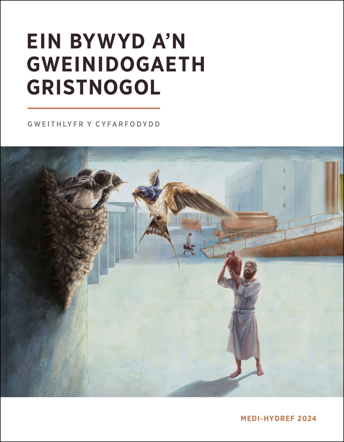 Un o feibion Cora yn edrych ar wenoliaid yn nythu yn y deml.