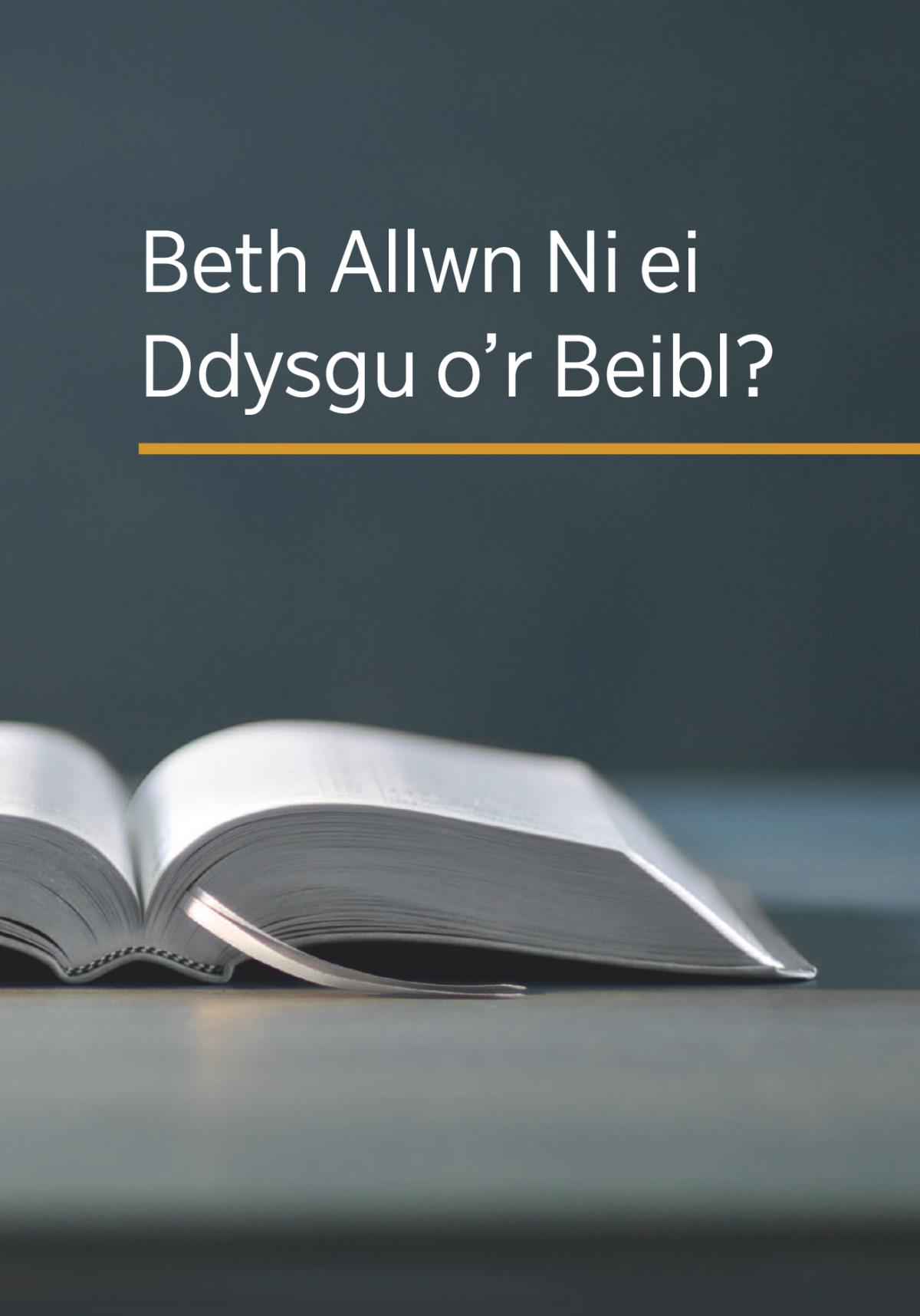Beth Allwn Ni ei Ddysgu o’r Beibl?
