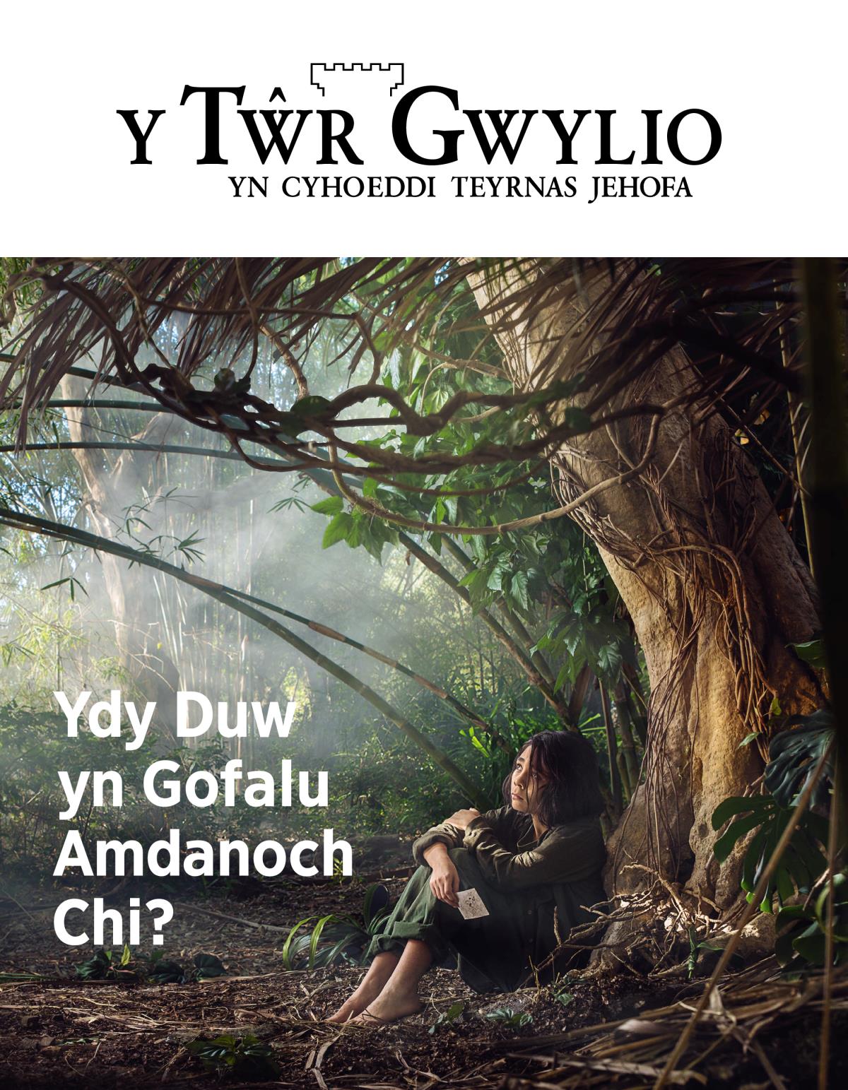 Cylchgrawn y Tŵr Gwylio, Rhif 3, 2018 | Ydy Duw yn Gofalu Amdanoch Chi?