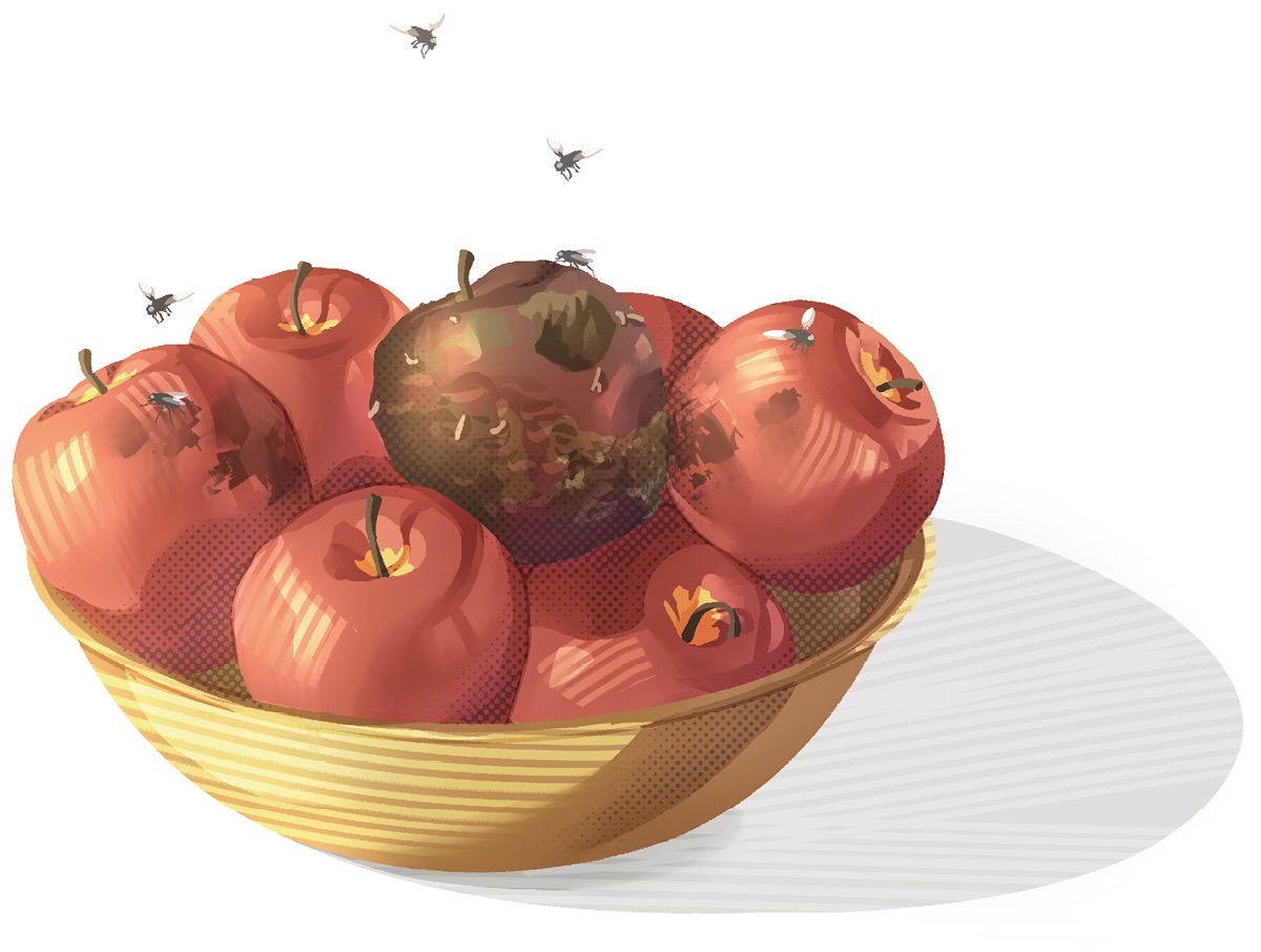 Apple thae hae pake. A thuhpaw apple thae pyngkheit nynh myn hae kha ko zah ccangpaw apple thae hae kha mah a thuhsah takaw cciamang vae.