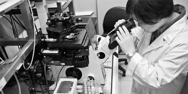 Ph.d. Feng-Ling Yang