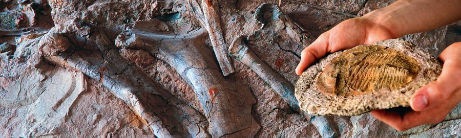 Et fossil