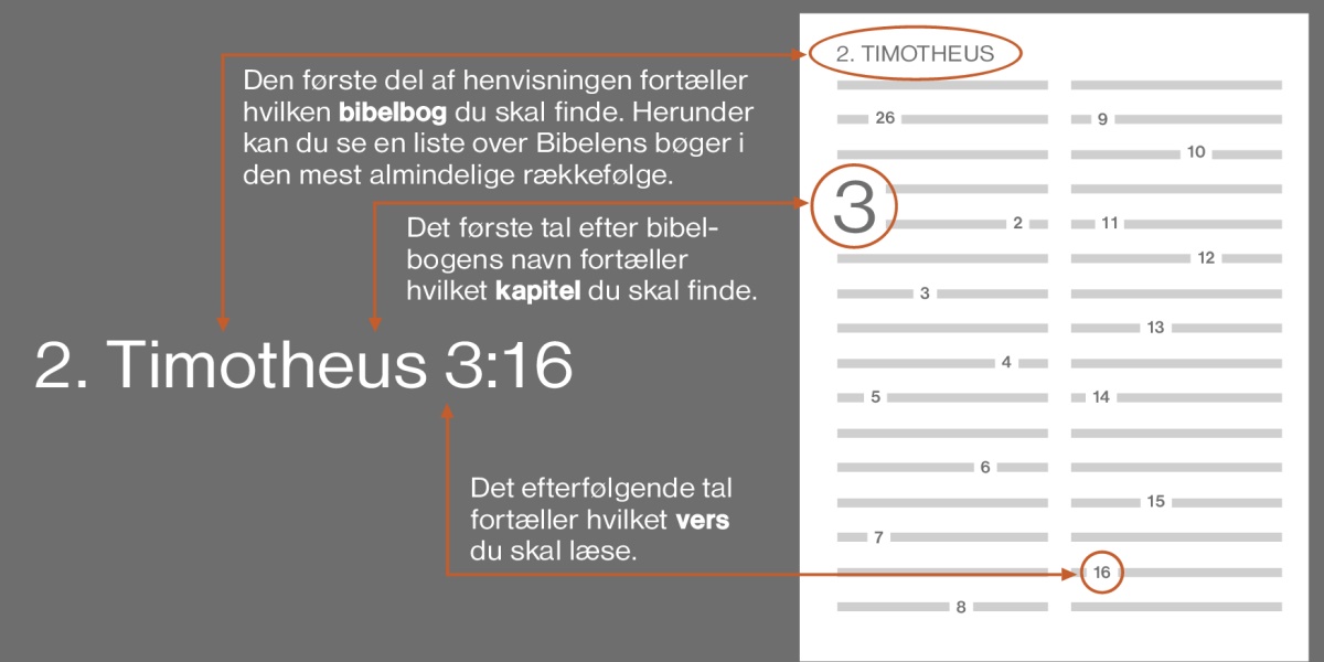 Bibelbøger, kapitler og vers