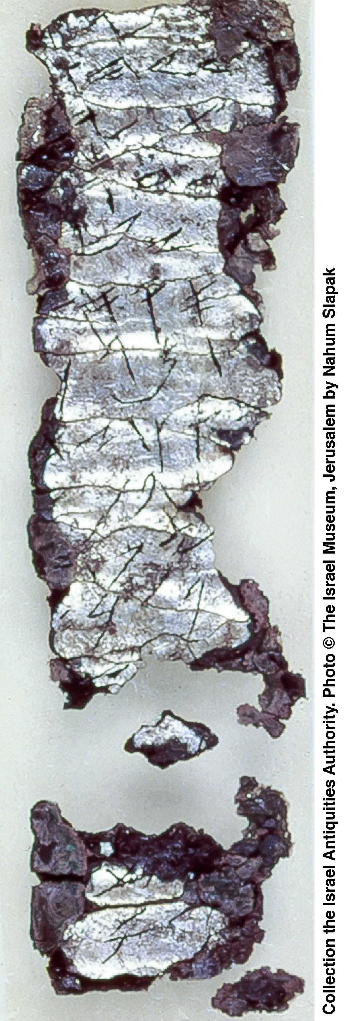 [Bild auf Seite 1278]