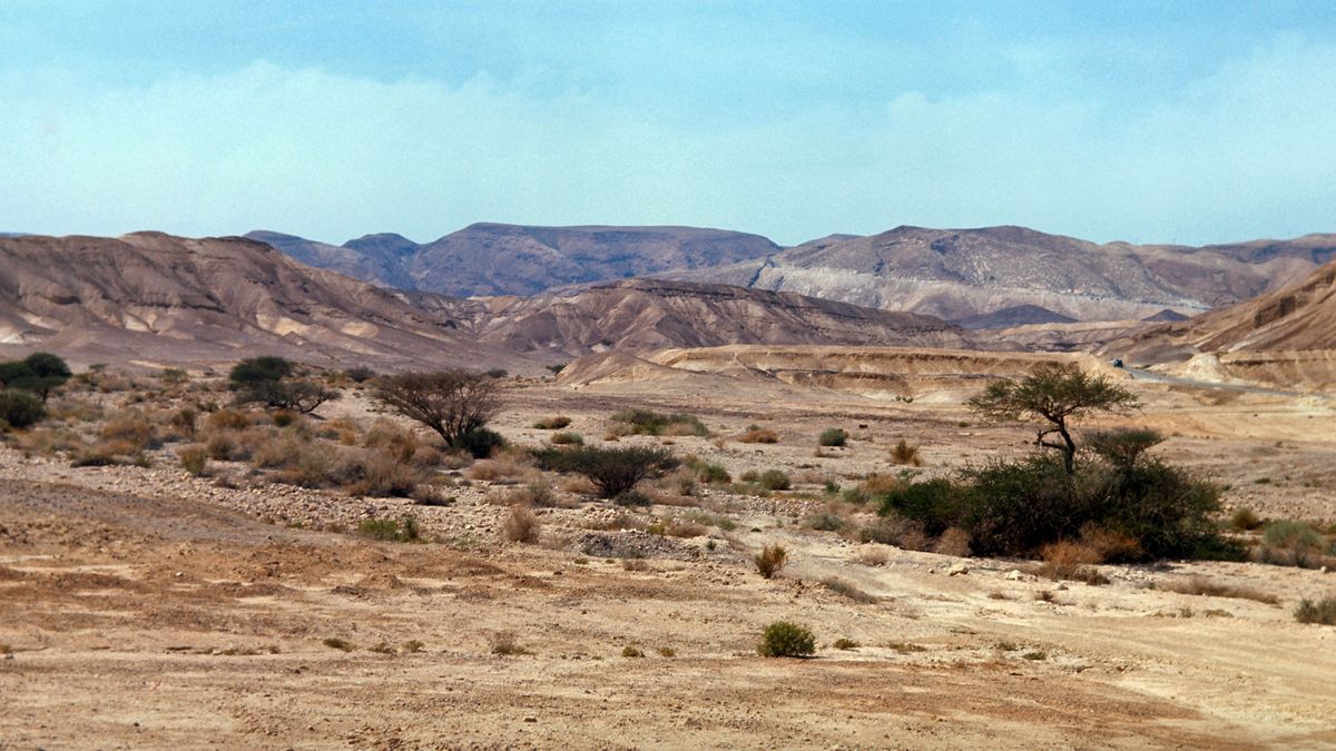 Die Wüste Negeb. Ihr zerklüftetes Terrain besteht hauptsächlich aus vegetationsarmen Felsen, Schluchten und Sanddünen.