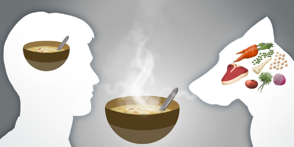 La imagen de un plato de sopa en la cabeza de un hombre y todos los ingredientes de la sopa en la cabeza de un perro