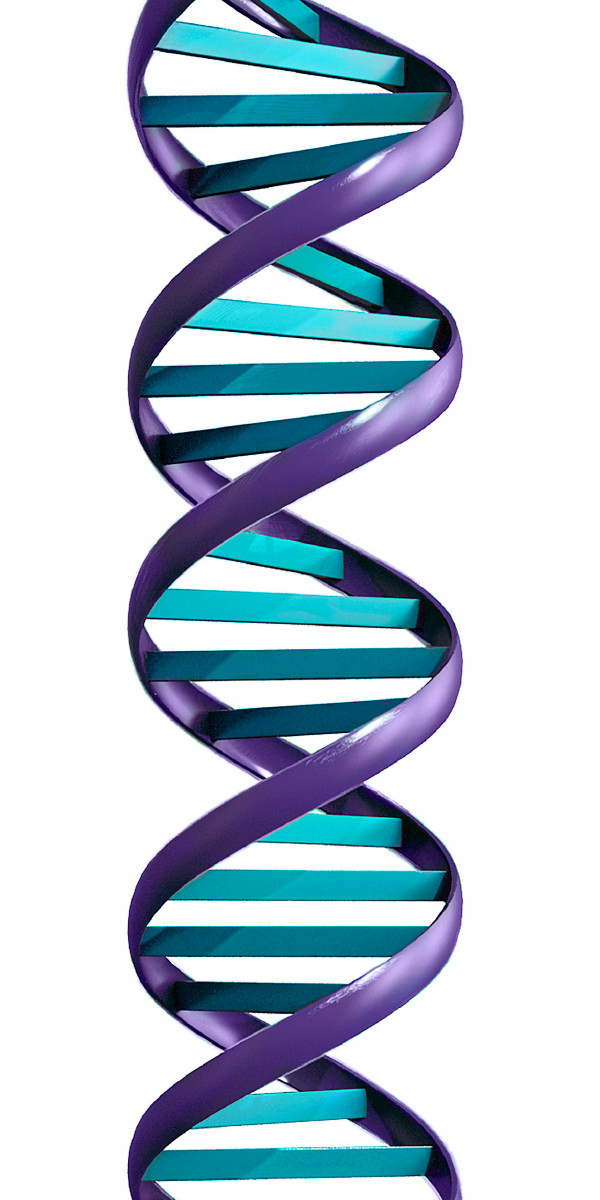 DNA le abe aŋutsrɔe didi gɔdɔ̃gɔdɔ̃ ene