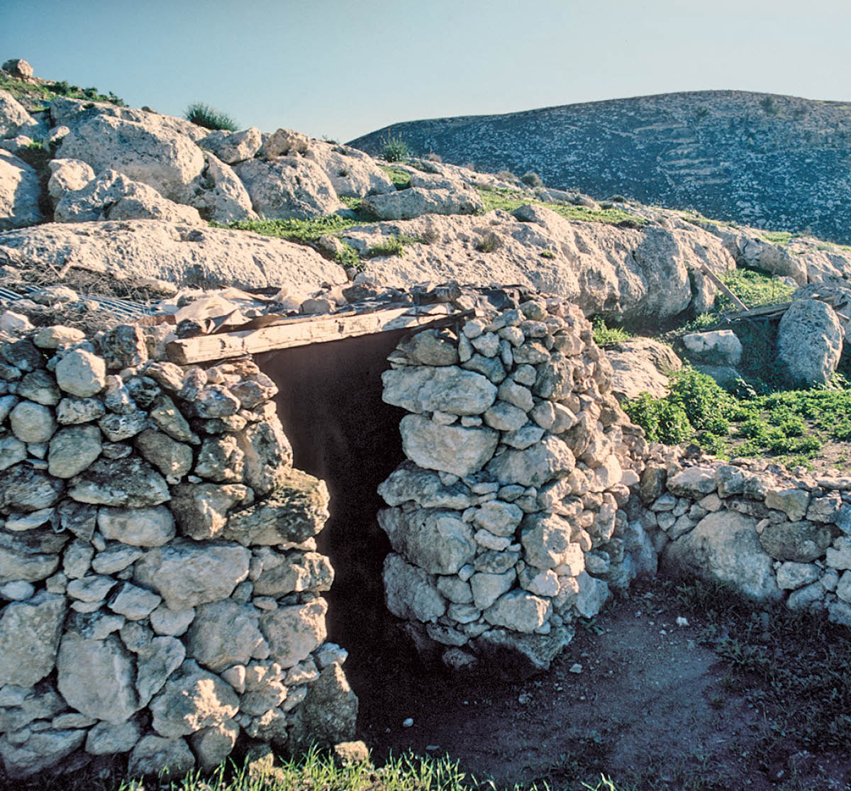 [Εικόνα στη σελίδα 262]