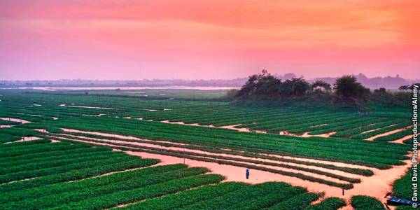 Camboya puruɗe arro siɗa jõbadada