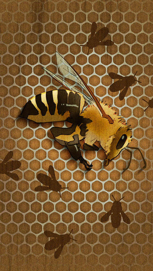 Bees