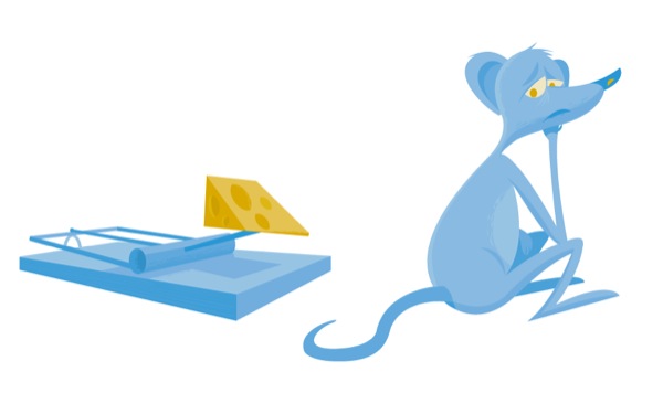A mouse being tempted by a piece of cheese in a mousetrap