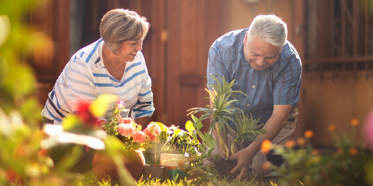 An older couple happily gardening together.