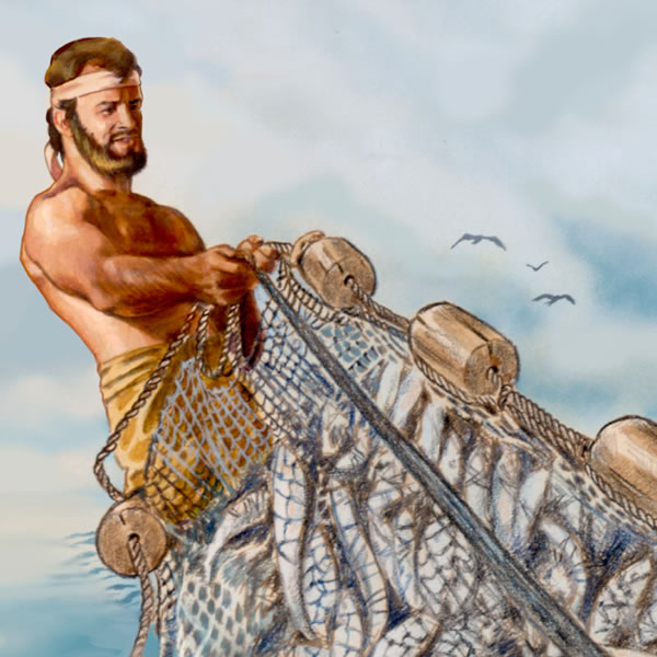 A fisherman pulls in a dragnet full of fish