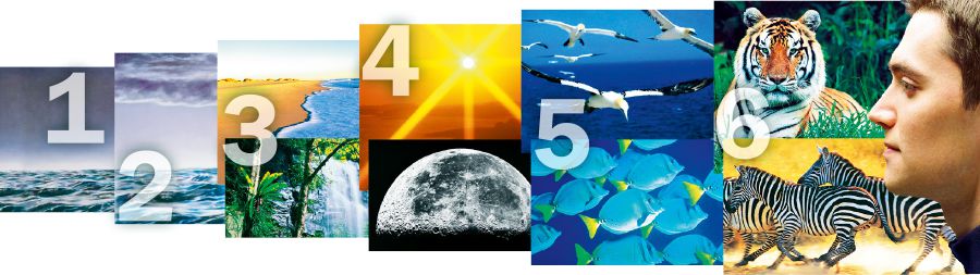 The six creative days