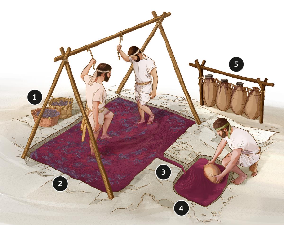 Winepress