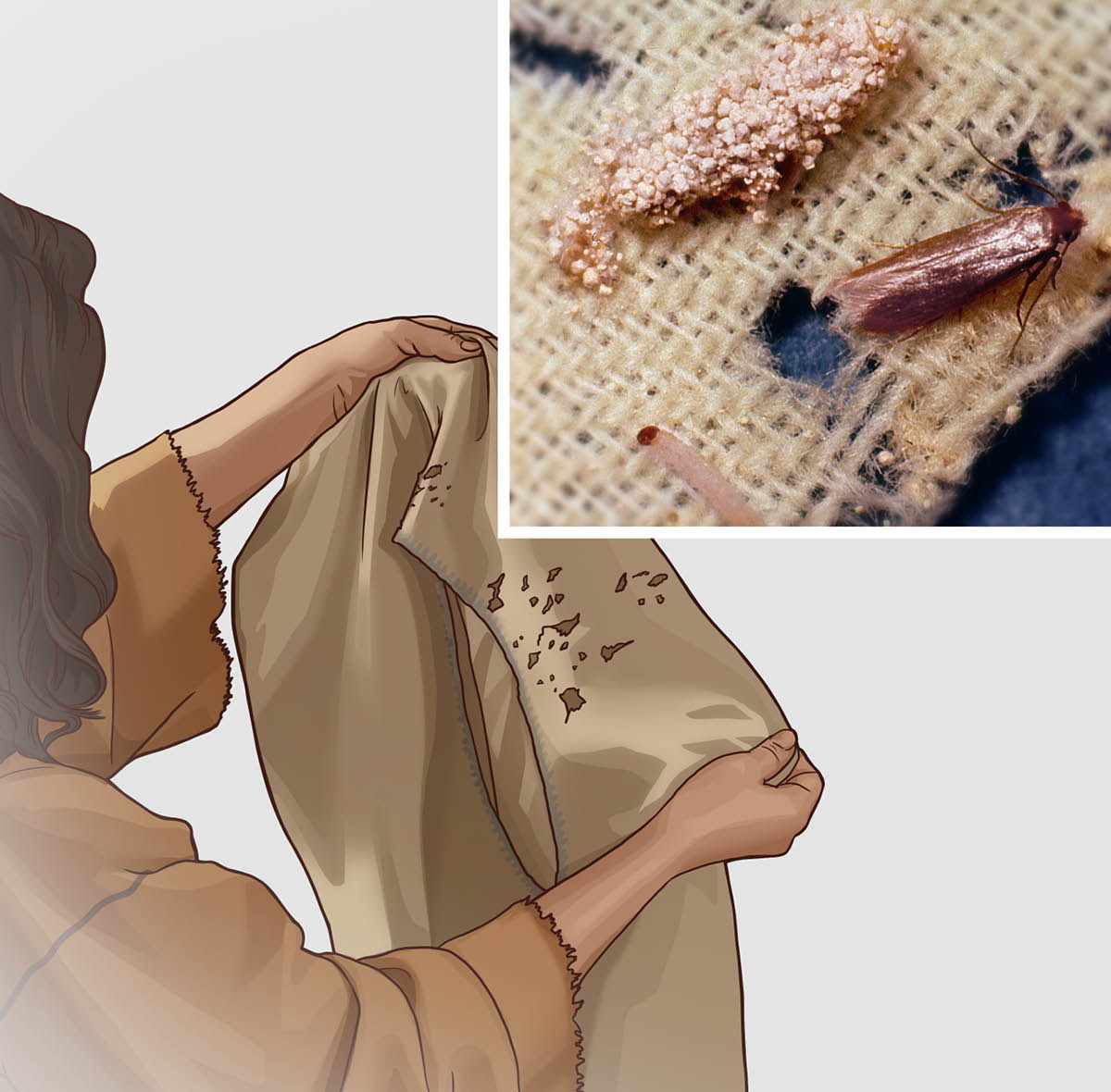 “Your Clothing Has Become Moth-Eaten”