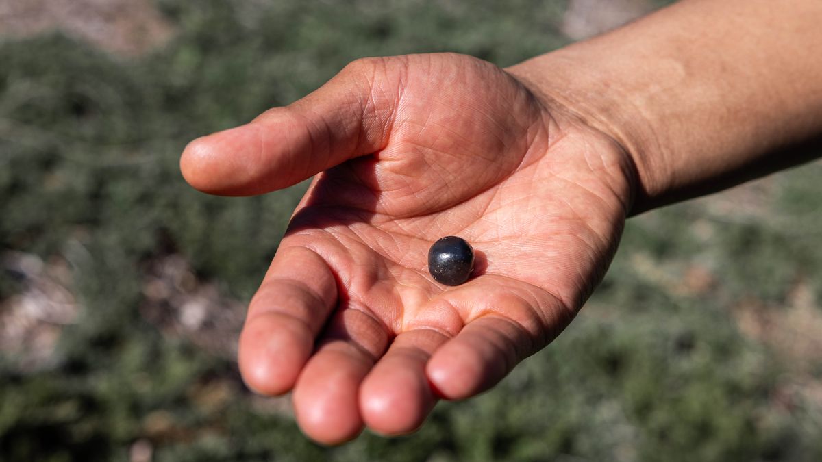 Someone holding a pim weight stone in the palm of his hand.