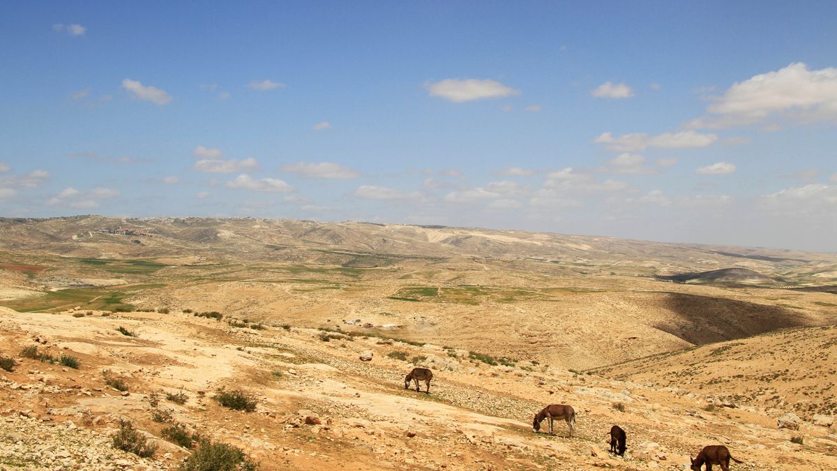 A rolling, barren region near Carmel.