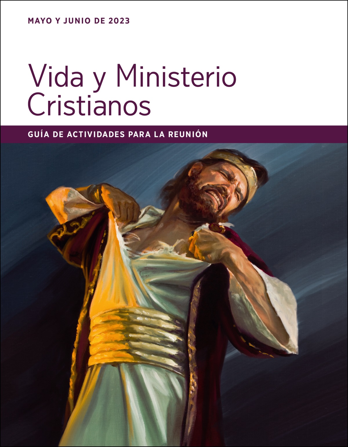 Guía de actividades para la reunión Vida y Ministerio Cristianos (mayo y junio de 2023).