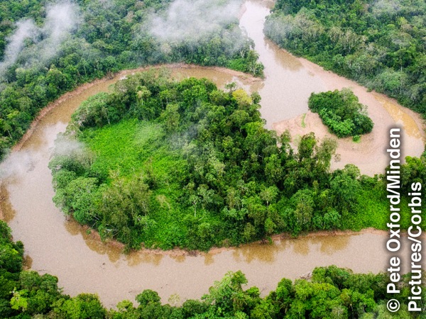 Osa Amazonase vihmametsast